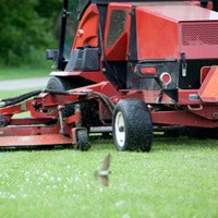 lawn-and-turf